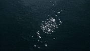 Water Mar GIF by jorgemariozuleta