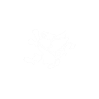 Stclair Sticker by St. Clair College