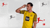 Borussia Dortmund What GIF by Bundesliga
