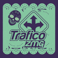 dia de muertos GIF by traficozmg