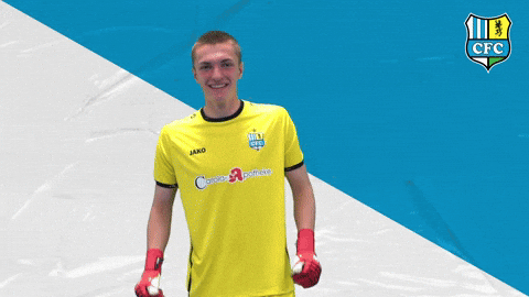 Tor Cfc GIF by ChemnitzerFC