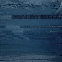 Under Water Swimming GIF by 2XU