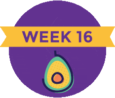 Pregnancy Baby Size Sticker by What to Expect