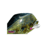 Mahi Mahi Fish Sticker by AFW Fishing Brands