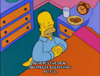 homer simpson episode 13 GIF