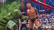 Merry Christmas GIF by WWE