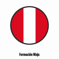 Peru Flag GIF by Formación Ninja