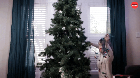 Merry Christmas GIF by BuzzFeed