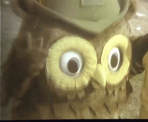 Woodsy Owl Vintage GIF by US National Archives