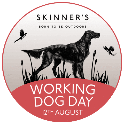 Dog Food Sticker by Skinner's