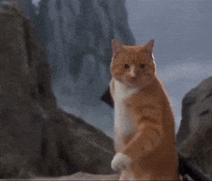 Shooting Chinese GIF