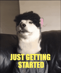 swagrman husky crypto meme dog meme just getting started GIF