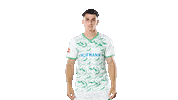 Goal Bundesliga Sticker by SpVgg Greuther Fürth
