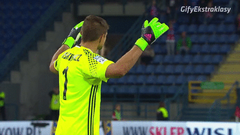 GIF by Ekstraklasa