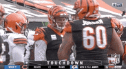 Regular Season Football GIF by NFL