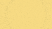 YoloRum yolo spirits yolorum rumlove GIF