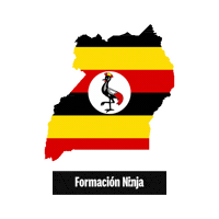 Flag Bandera Sticker by Formación Ninja