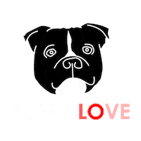 dog love Sticker by Acai Brothers