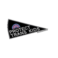 Queer Trans Sticker by Sock Drawer Heroes