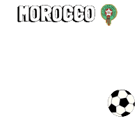 World Cup Football Sticker by Pudgy Penguins