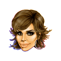 Own It Real Housewives Sticker