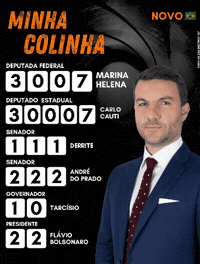 Marina Deputado GIF by MarinaHelenaBR