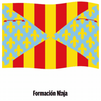 Flag Spain GIF by Formación Ninja