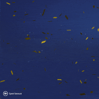 Confetti Winnen GIF by Postcode Loterij