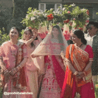 Wedding Celebration GIF