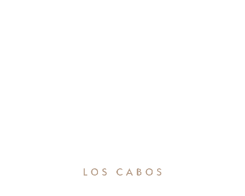 engage cabo enagage18 mexico Sticker by Engage18
