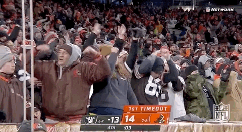Cleveland Browns No GIF by NFL
