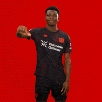 Bayer 04 No GIF by Bayer 04 Leverkusen