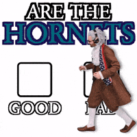 Charlotte Hornets GIF