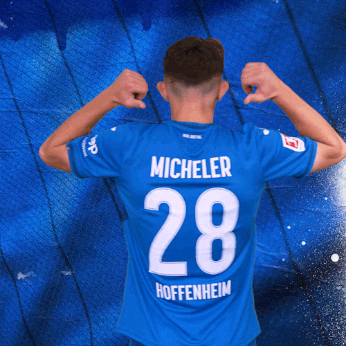 Sport Bundesliga GIF by TSG Hoffenheim