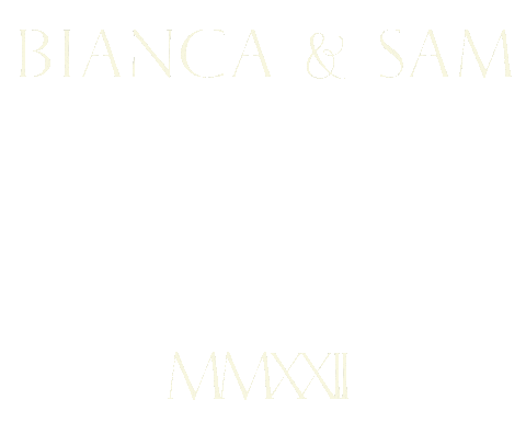 Cheers Wedding Sticker by Bianca Bosso