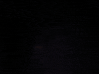 attack of the killer tomatoes coolidge after midnite GIF by Coolidge Corner Theatre