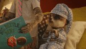 Tired Cat GIF by comparethemarket