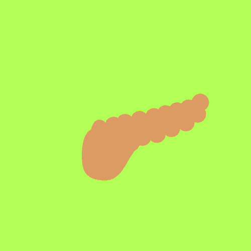 pancreas GIF