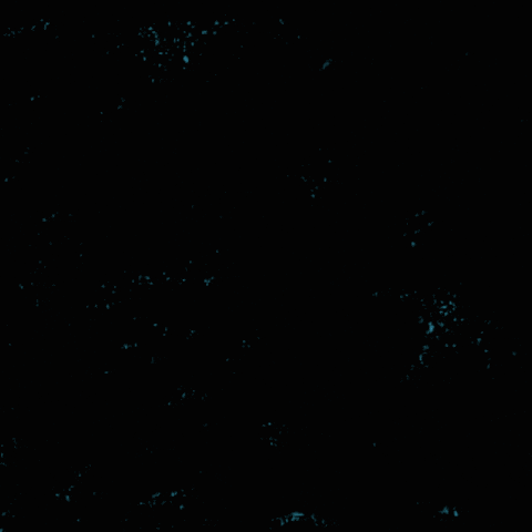 RepresentUs giphyupload GIF