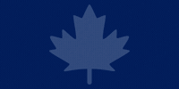 Toronto Maple Leafs GIF by PUCKerUp Sports