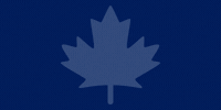 Toronto Maple Leafs GIF by PUCKerUp Sports