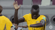 Celebrate World Cup GIF by Football Australia