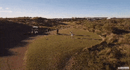 GIF by Mashable