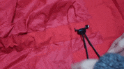 vegan kickstarter GIF by theJacks