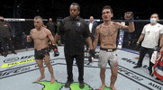 Max Holloway Sport GIF by UFC