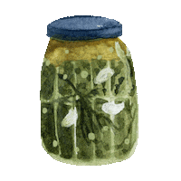 Illustration Vegan Sticker