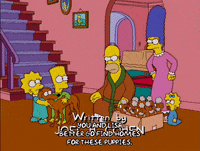 homer simpson episode 6 GIF