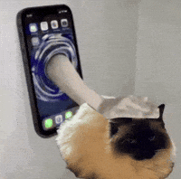 Feinfein2014 GIF