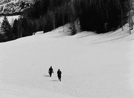 jean renoir walking in snow is difficult GIF by Maudit