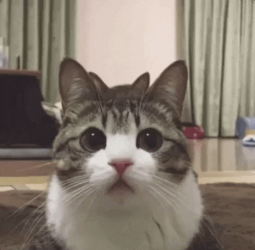 Atados giphyupload GIF